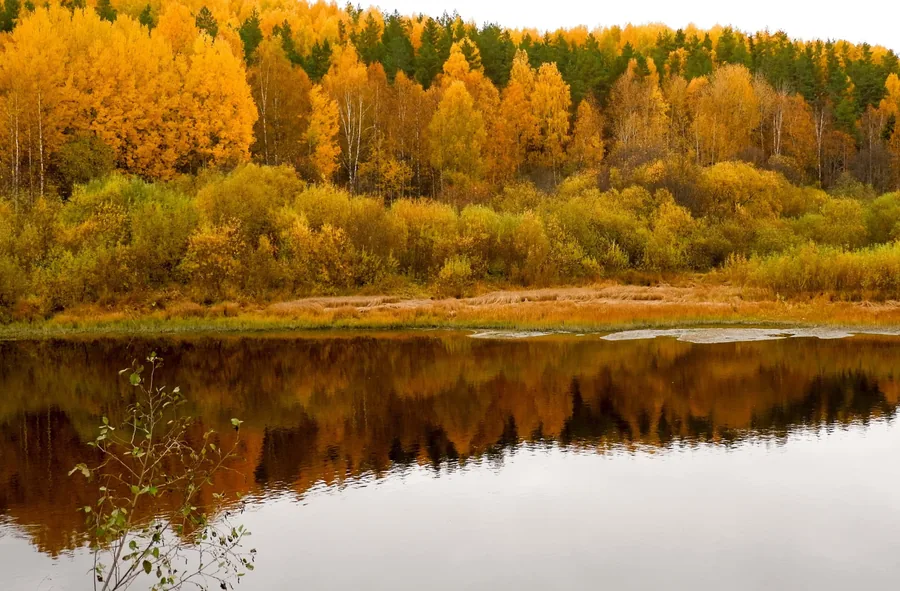 Autumn Reflected in the Lake