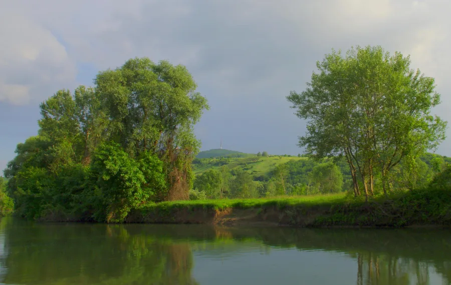 A Calm Green Shore
