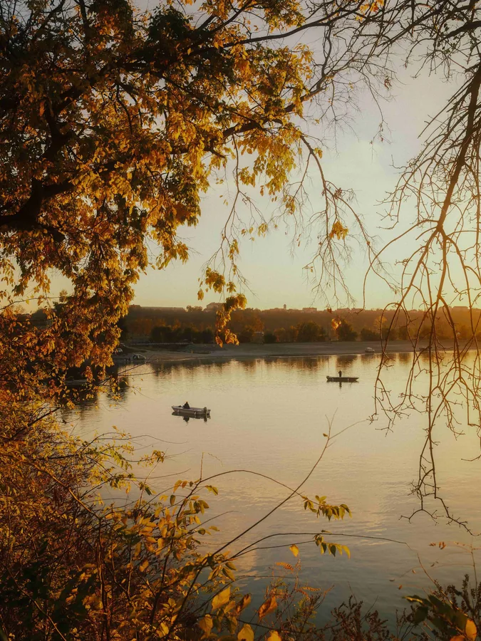 Boats on a Golden Lake