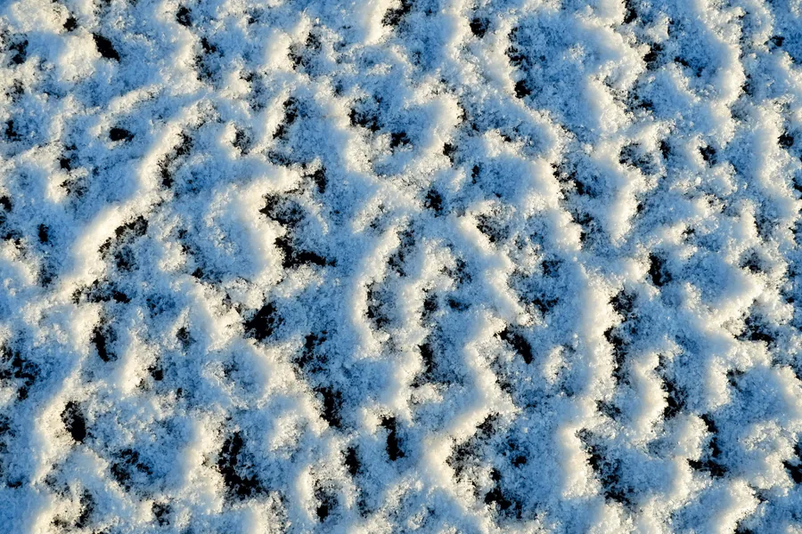 Snow Crust