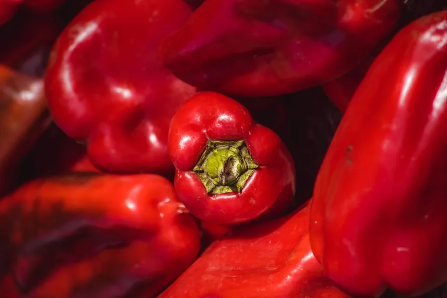 Red Peppers in the Sun