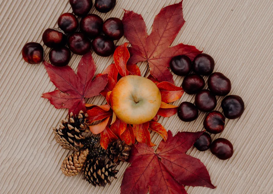 Apple, Chestnuts and Pine Cones