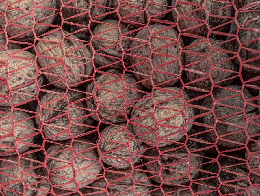 Walnuts in a Red Net
