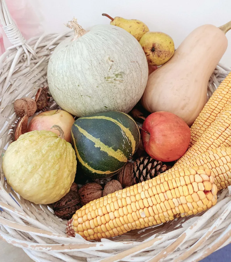 A Basket of Autumn Fruit