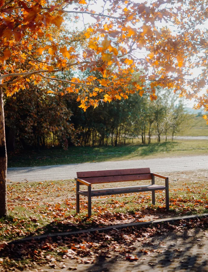 A Bench in Autumn