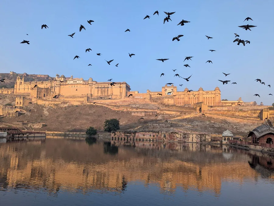 Birds Over Amber Fort
