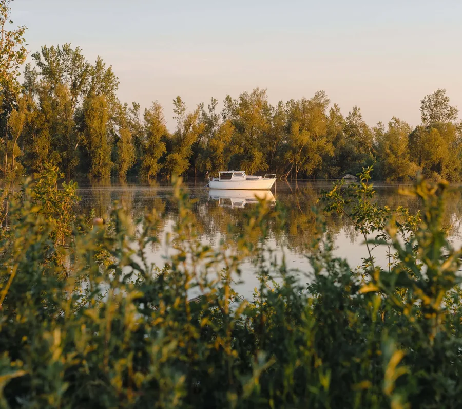 A Boat Among the Willows