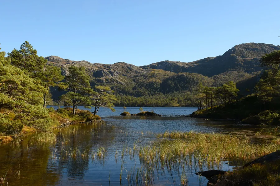 A Lake Among the Hills