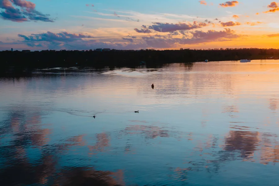 Ducks at Dusk