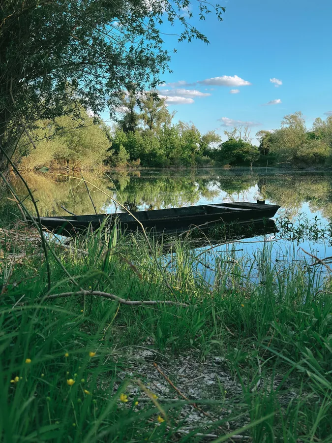 An Old Boat in Spring