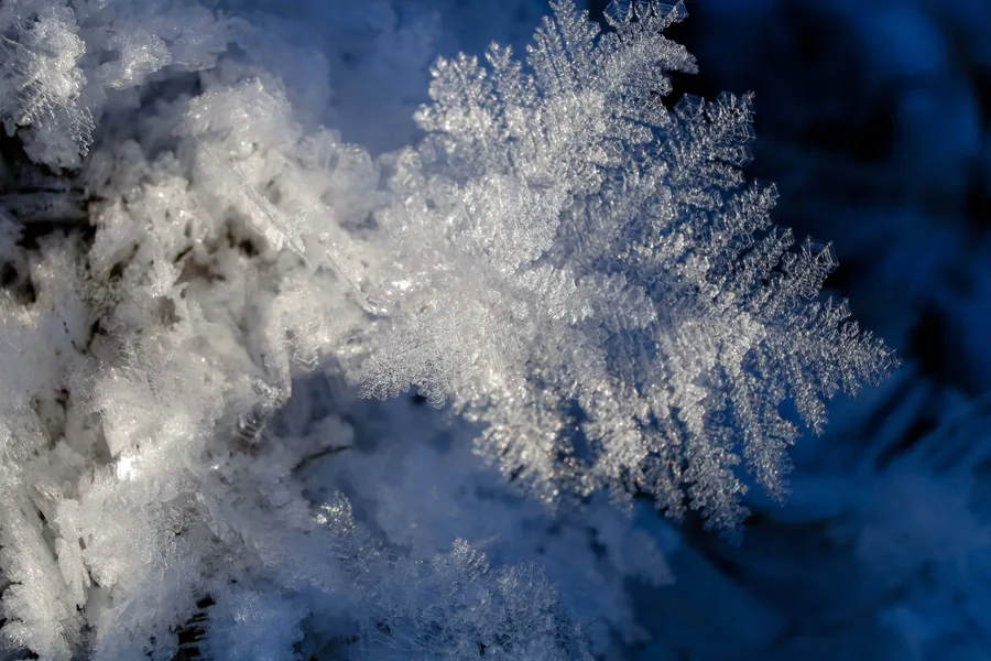 Frost Crystals in Sunlight