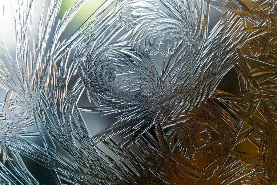 Frost Ferns on the Window
