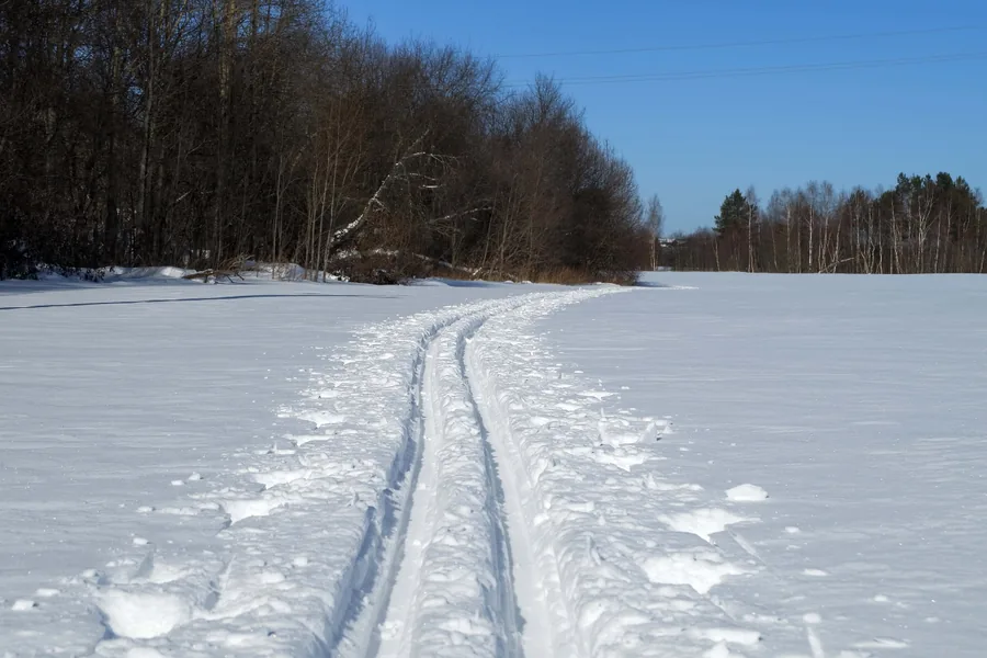 Tracks Across the Snow