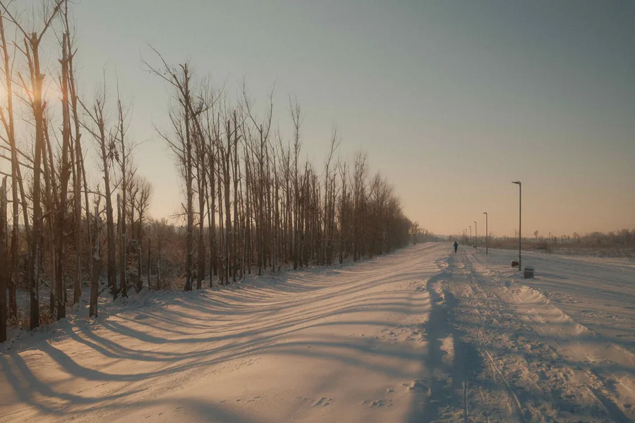 Winter Road at Sunset